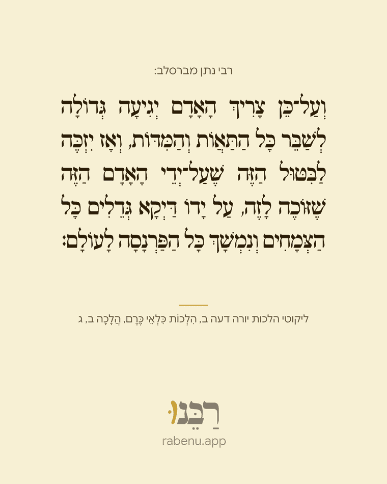 רבנו-ציטוט.png